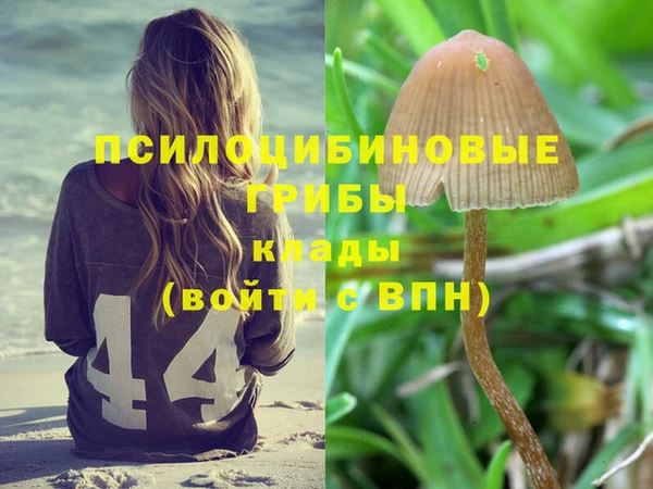 МДМА Алексеевка