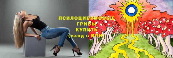 МДМА Алексеевка